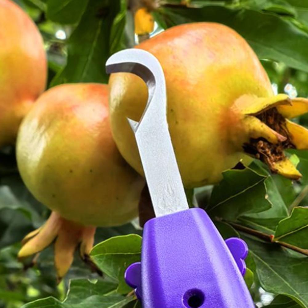 ポータブル果物野菜クイックピッキング多機能園芸剪定ツール果物 - Gardening Tools Vegetables のレビューと価格
