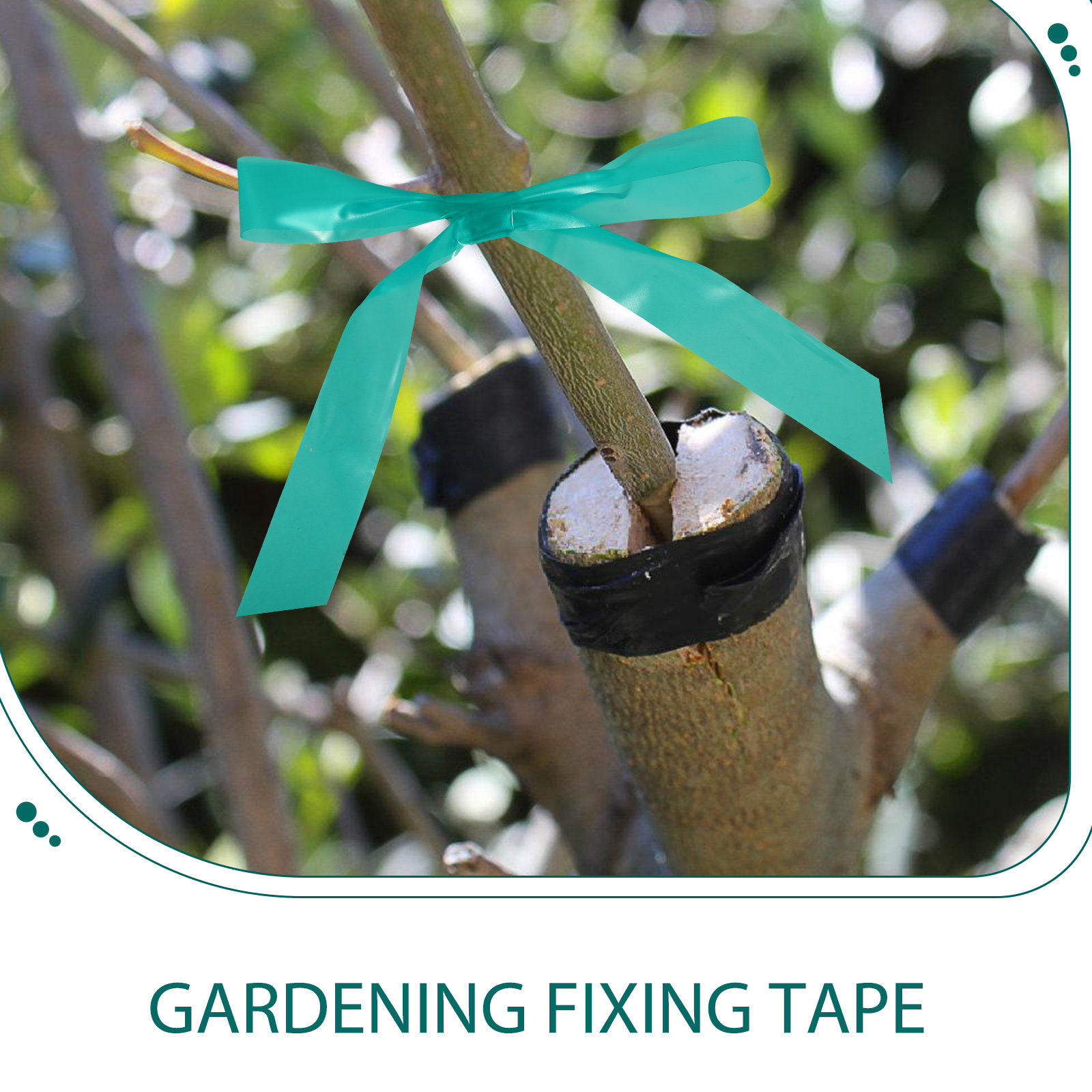 2個入り 2ロール 伸縮性のある接ぎ木テープ 庭の植物の修復 - Grafting Tape のレビューと価格