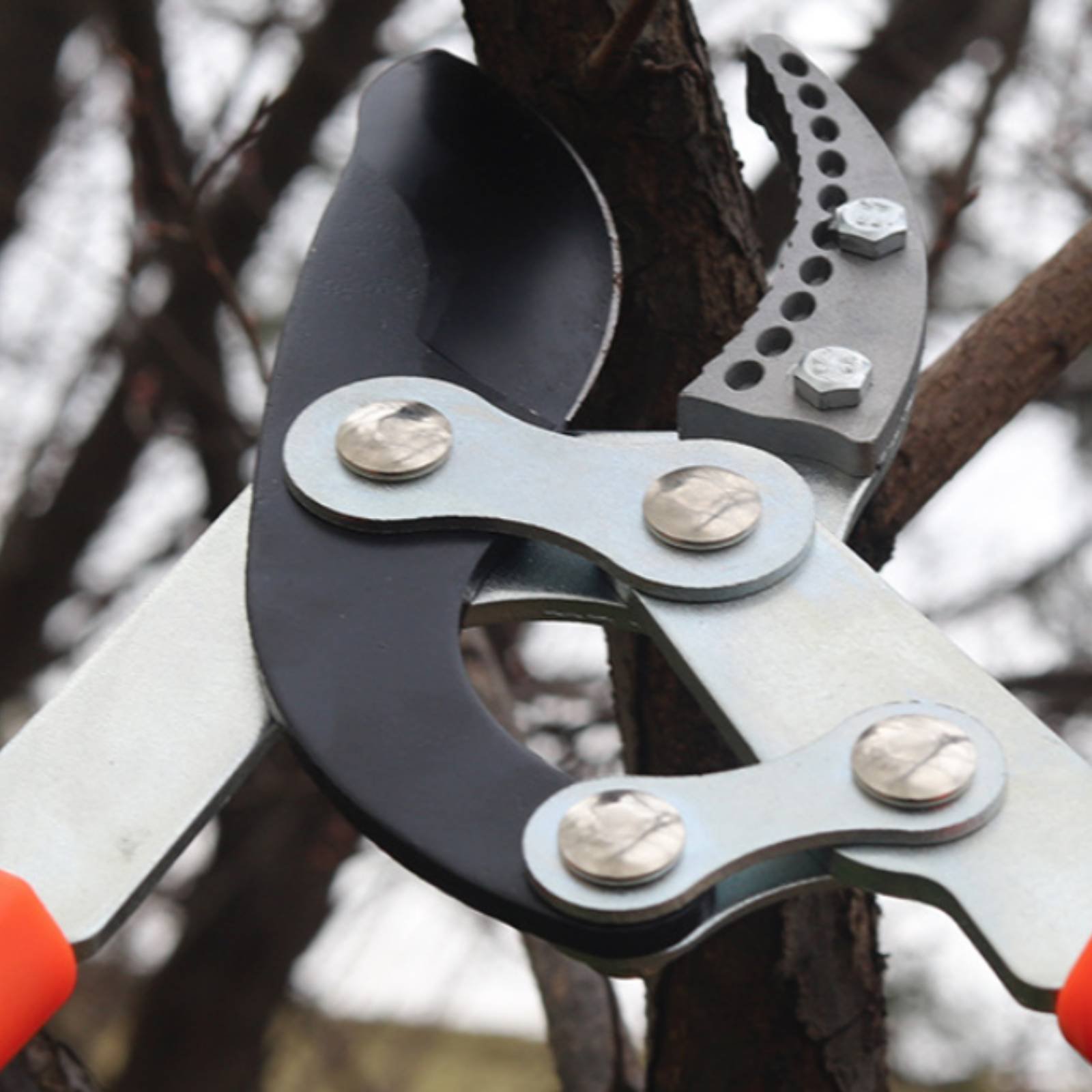 伸縮式枝切り鋏 シャープブレード 頑丈な木剪定鋏 剪定鋏 快 - Gardening Tools In のレビューと価格